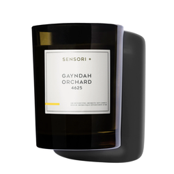 Sensori+ Air Detoxifying Aromatic Soy Candle Gayndah Orchard 260g