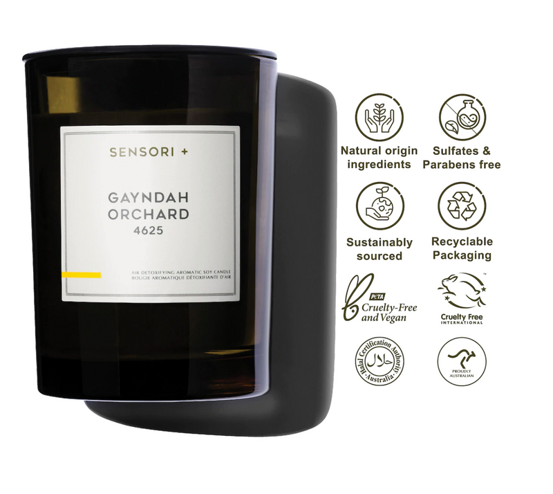 Sensori+ Air Detoxifying Aromatic Soy Candle Gayndah Orchard 260g